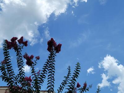 1650 N 42nd Circle, Vero Beach, FL 32967