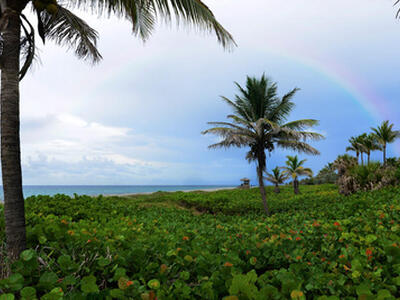 1841 NW 42nd Drive, Boca Raton, FL 33431