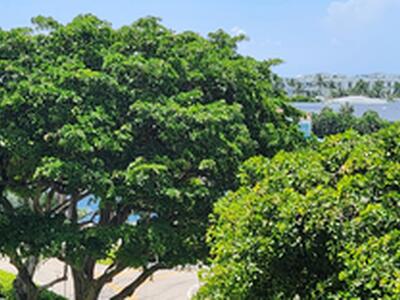 859 Jeffery Street SE, Boca Raton, FL 33487