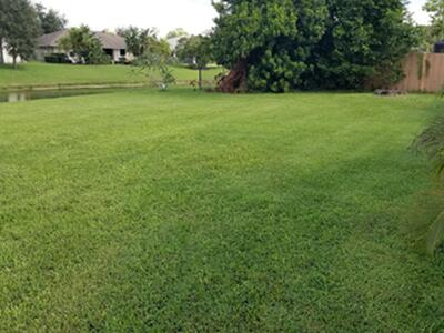 14507 Larkspur Lane, Wellington, FL 33414