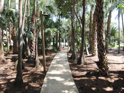 12949 Pennypacker Trail, Wellington, FL 33414