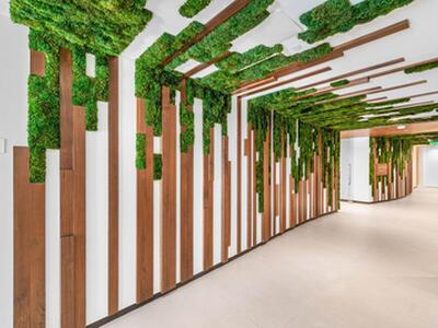 220 SE Mizner Boulevard, Boca Raton, FL 33432