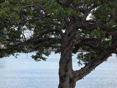 111 Lake Avenue, Lake Worth Beach, FL 33460