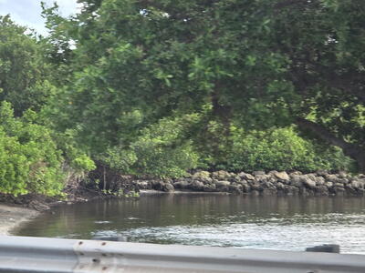 111 Lake Avenue, Lake Worth Beach, FL 33460