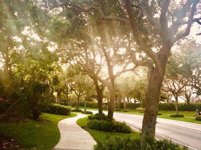 11949 Rosetree Terrace, Boynton Beach, FL 33437