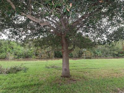 133 Lakes End Drive, Fort Pierce, FL 34982