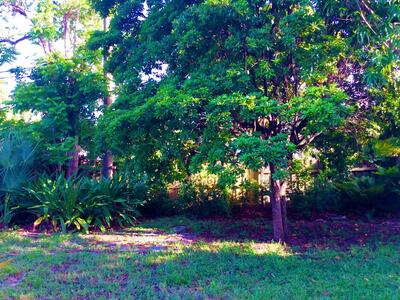 382 Ellamar Road, West Palm Beach, FL 33405