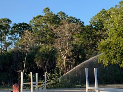 1711 Stallion Drive, Loxahatchee, FL 33470