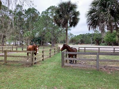 1711 Stallion Drive, Loxahatchee, FL 33470
