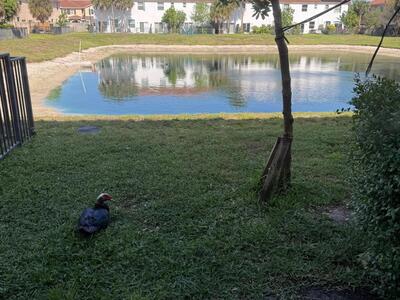 4324 Maybelle Lane, West Palm Beach, FL 33417