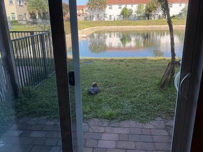 4324 Maybelle Lane, West Palm Beach, FL 33417