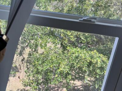 644 NW 13th Street, Boca Raton, FL 33486