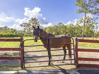 Loxahatchee, FL 33470