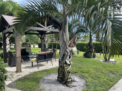 221 SE 1st Avenue, Boynton Beach, FL 33435